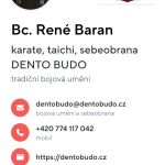 Vzhled na mobilu